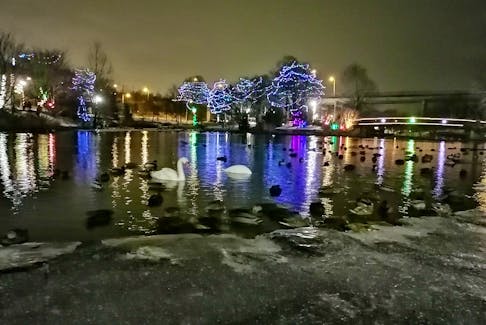 Bowring Park will celebrate the holiday season with its 20th annual music and lights festival at the duck pond, running from Dec. 3 to Jan. 6.