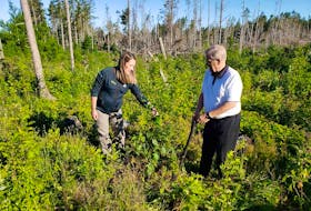 On June 24, Cardigan MP Lawrence MacAulay, right, joined Hailey Paynter, resource conservation officer for Parks Canada P.E.I. Field Unit in P.E.I. National Park at Cavendish to announce that 6,000 trees will be planted in Prince Edward Island National Park this year. 