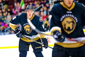 Defenceman Kristians Rubins, shown playing for the Newfoundland Growlers during the 2018-19 ECHL season, has been called up to the NHL's Toronto Maple Leafs from the AHL's Toronto Marlies. — File photo/Newfoundland Growlers/Jeff Parsons