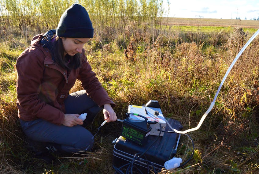Agriculture and AgriFood Canada technician Ana Kostic collects a water sample in Kinkora Nov. 4. 