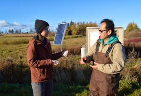 Agriculture and AgriFood Canada technician Ana Kostic and scientist Yefang Jiang collect water samples in Kinkora Nov. 4. This sample will be sent to the University of Waterloo for isotope analysis. 