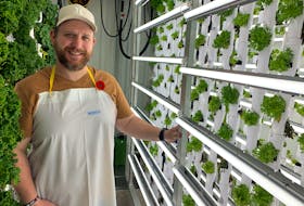 Kris Sutton, who with his wife Brenda owns Sutton's Vertical Gardens in Enfield, says his hydroponic farm can match the yield of a two or three-acre field.