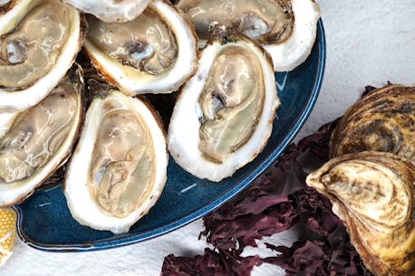 Prince Edward Island seafood store launches oyster shipping service across Canada