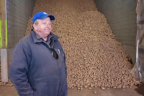 No federal commitments for P.E.I. potato farmers beyond existing support programs