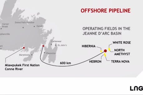FFAW opposed to proposed gas pipeline in Placentia Bay; minister's decision expected Jan. 1