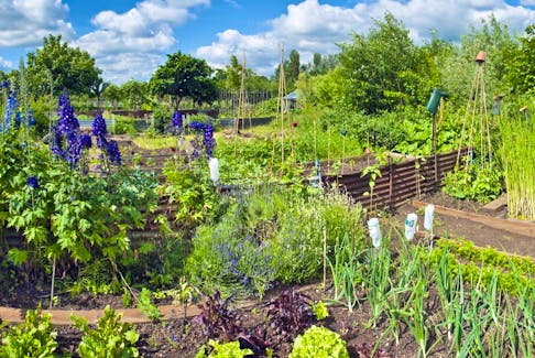 The Canadian Garden Council has proclaimed 2022 the Year of the Garden.