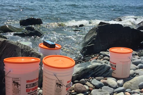 One bucket at a time: The Duggans collect the coldest and saltiest ocean water during high tide.