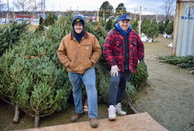 Lot attendant Kevin Tate, left, and tree farm owner Jason Boyle stand in front of pile of Christmas trees that went unsold at the latter’s Mayflower Mall lot. Boyle said it was a decent season despite his North Sydney mall lot not doing as well as in past years. DAVID JALA/CAPE BRETON POST