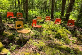 A mixed wood forest has become the outdoor classroom of the Pictou County Forest School in Meadowville.