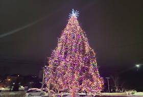 Dartmouth's Christmas tree on Prince Albert Road and Ochterloney Street. CONTRIBUTED