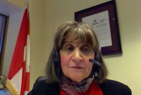 Siddika Mithani, president of the Canadian Food Inspection Agency, speaks to a federal standing committee of agriculture and agri-food Dec. 21. Screenshot