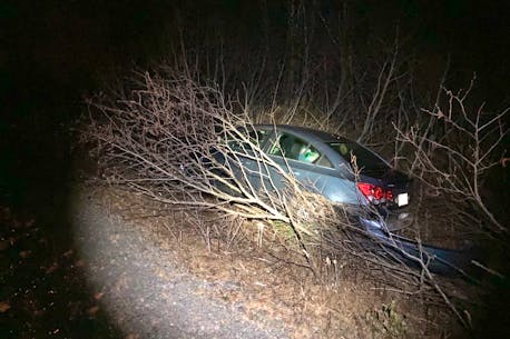 'I started to panic': Man stranded on rural Cape Breton road for 11 hours after accident