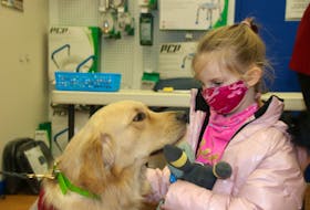 Marvin greets seven-year-old Paeton Lewis at a pediatric COVID-19 vaccination clinic at the West End Family PharmaChoice. The golden retriever made the process smoother for both children and their parents. 