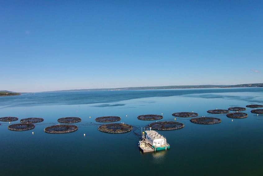 The Rattling Beach salmon farm in the Annapolis Basin, just north of Digby, operated by Kelly Cove Salmon, a division of Cooke Aquaculture. -- Kelly Cove Salmon Ltd. photo