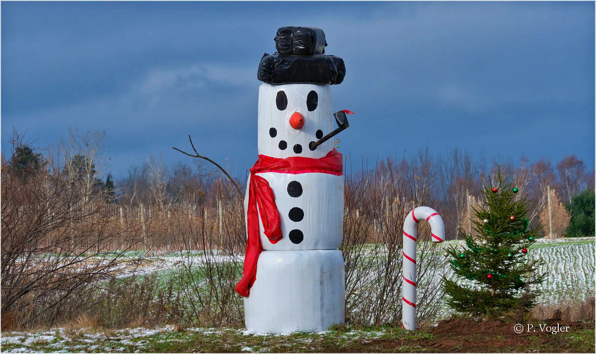 Frosty is back in town and is catching the eyes of many on Highway 101 between Coldbrook and Berwick, N.S., including Phil Volger. Phil said Frosty is a creation of the Best Family Farm and has been around for a few years. A unique way to spread some cheer this holiday season. I’m sure Frosty will enjoy the cooler temperatures this weekend too. Thank you for sharing, Phil.
