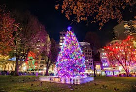 Nova Scotia's annual Christmas tree gift to Boston gets its glow on Thursday night, Dec. 2, 2021 during a ceremony at the Boston Common.