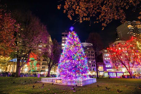 Tree-lighting ceremony welcomes Nova Scotia's annual Christmas tree gift to Boston