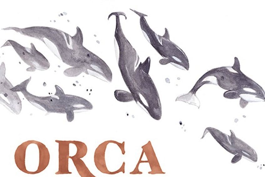 Orca Rescue!, illustrated by Cape Breton artist Sarah Burwash, is available at www.kidscanpress.com/products/orca-rescue. 