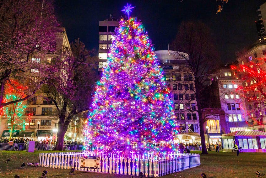 The tree for Boston was lit up in the Boston Common on Thursday evening with much fanfare. Premier Tim Houston was on hand for its unveiling along with Cape Breton musicians Beòlach and Heather Rankin, as well as Halifax R&B artist Keonté Beals. The 60-year-old, 48-foot white spruce, was donated by L'Arche Cape Breton from its property in Orangedale, Inverness County. COMMUNICATIONS NOVA SCOTIA