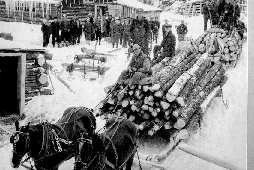 Logging camp near Ingramport. - Nova Scotia Archives