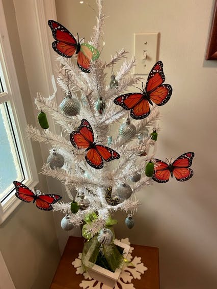 Lynda MacLellan sent me a photo of a special holiday tree decorated with monarch butterflies. Lynda, who described herself as a monarch butterfly enthusiast, said the tree is also decorated with butterflies, handmade chrysalides and one caterpillar. Can you spot it? Lynda added the memories of summer help her get through the long winter. Thanks for sharing, Lynda.