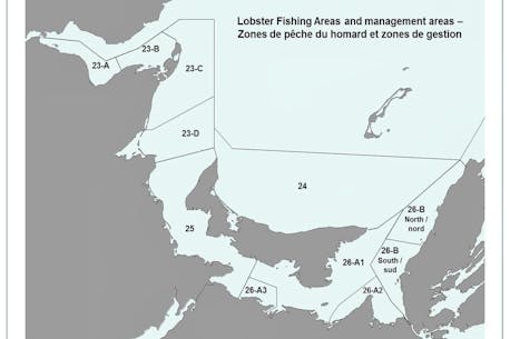 DFO says it is considering request from P.E.I. fishermen to change lobster setting dates