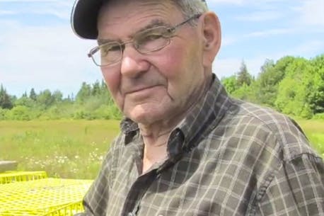 91-year-old active fisherman in P.E.I. to be inducted into Acadian Business Hall of Fame