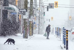 Traffic and pedestrians made their way along O'Connor Street as Ottawa was blanketed with snow on Saturday, Dec. 4, 2021. A winter weather street parking ban is in effect across Ottawa on Monday, Dec. 6, 2021.