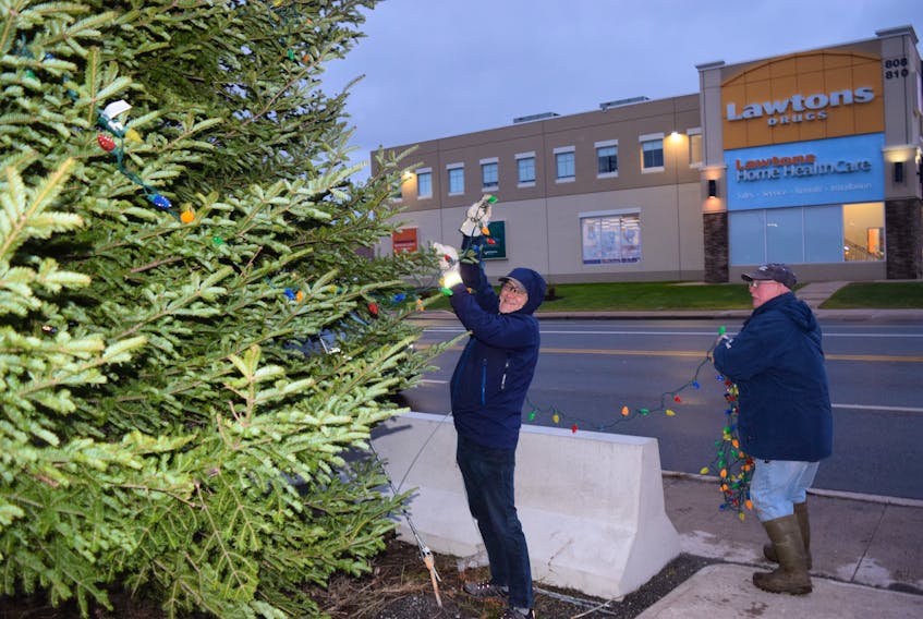 Paul Heighton and Cammie Cumminger were two of the people who helped string lights on the Christmas Tree at the Aberdeen Hospital. The tree is put up each year with the help of employees and retirees of Nova Scotia Power who volunteer their time.
