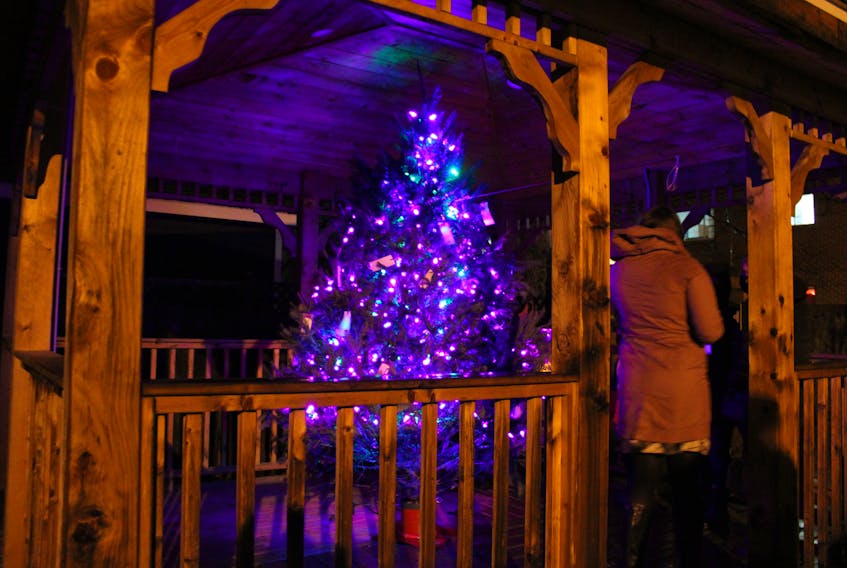 The tree is sheltered within a gazebo built for The Lotus Centre two years ago with a donation from Shoppers Drug Mart.