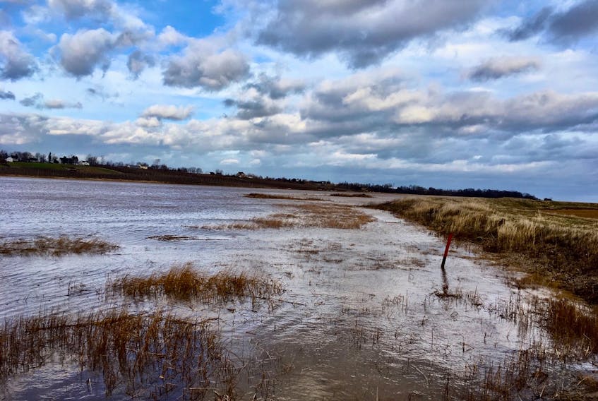 Are high tides at Port Williams impacted by the climate crisis as they appear to be getting higher adjacent to the Bishop-Beckwith Dyke, columnist Wendy Elliott wonders.
WENDY ELLIOTT