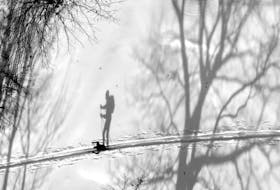A cross-country skier casts a big shadow during a morning ski at the Brightwood golf course in Dartmouth on Thursday morning, Dec. 9, 2021.