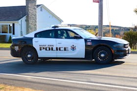 A Saint John man is facing charges after ramming a police cruiser with his vehicle on March 31.