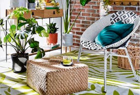 Outdoor carpets can make a colourful statement inside a family home, too. Eight-by-10-foot Leaf Print Outdoor Rug, $60, HomeSense.