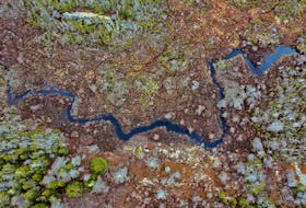 An aerial photo of a stream cutting through a bog near Owls Head provincial park and Little Harbour, N.S., on Wednesday, March 31, 2021.