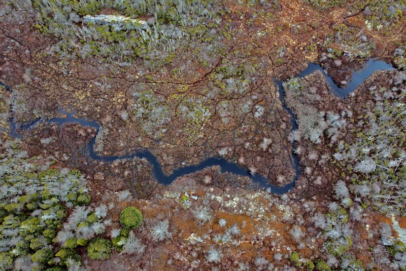 An aerial photo of a stream cutting through a bog at Owls Head provincial park near Little Harbour, N.S., on Wednesday, March 31, 2021. - Tim Krochak • The Chronicle Herald