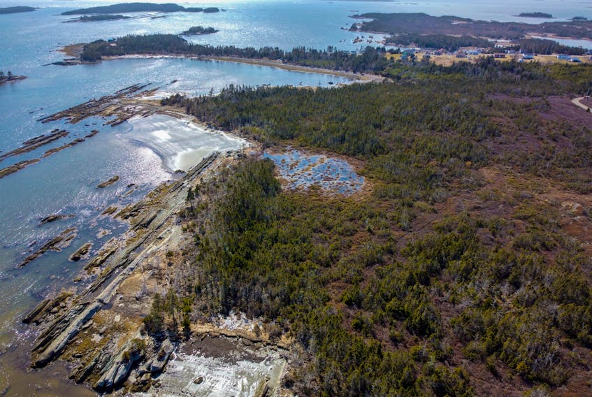 An aerial photo of the coastline near Owls Head provincial park and Little Harbour, N.S., Wednesday March 31, 2021.