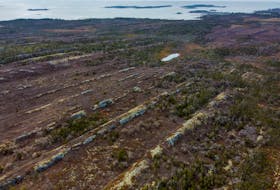 An aerial photo of some of the interesting formations of stone that extend throughout the area near Owls Head provincial park and Little Harbour, N.S., Wednesday March 31, 2021.