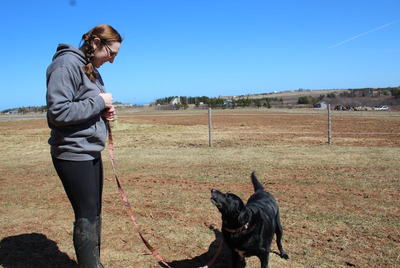 Mitchell and her dog, Lexie, who the mobile hobby farm is named after. - Kristin Gardiner