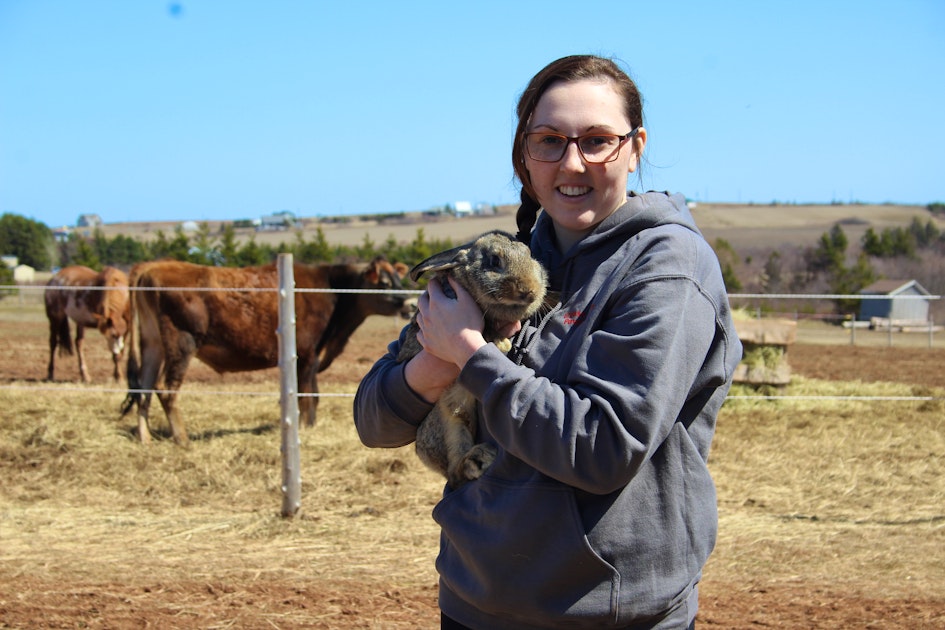 Meet The Animals Darnley P E I Woman Creates Travelling Petting Zoo To Bring Her Farm To Islanders Saltwire