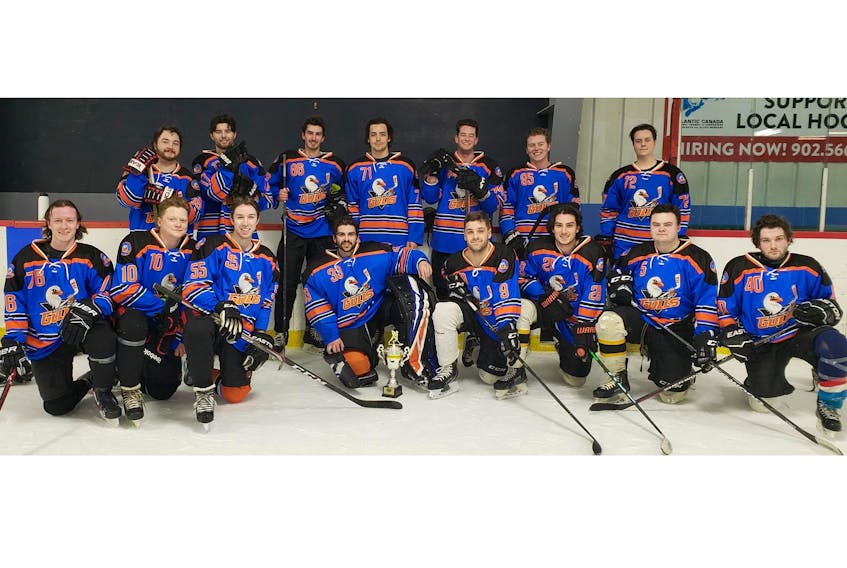 The Greater Stratford Gulls recently won the third division championship of the Queens County Rec Hockey League. Team members, front row, from left, are Tyler Power, Ben Nicholson, Brett MacPherson, Parker Day, Nick Currie, Bret Cheverie, Alex Hall and Reece LeClair. Second row, Nathan Molyneaux, Connor Gray, Luke Reeves-Rollins, Ridge Crane, Dylan MacDonald, Colin Koughan and Ben Reynolds. Missing from photo is Daniel Martel. - Contributed