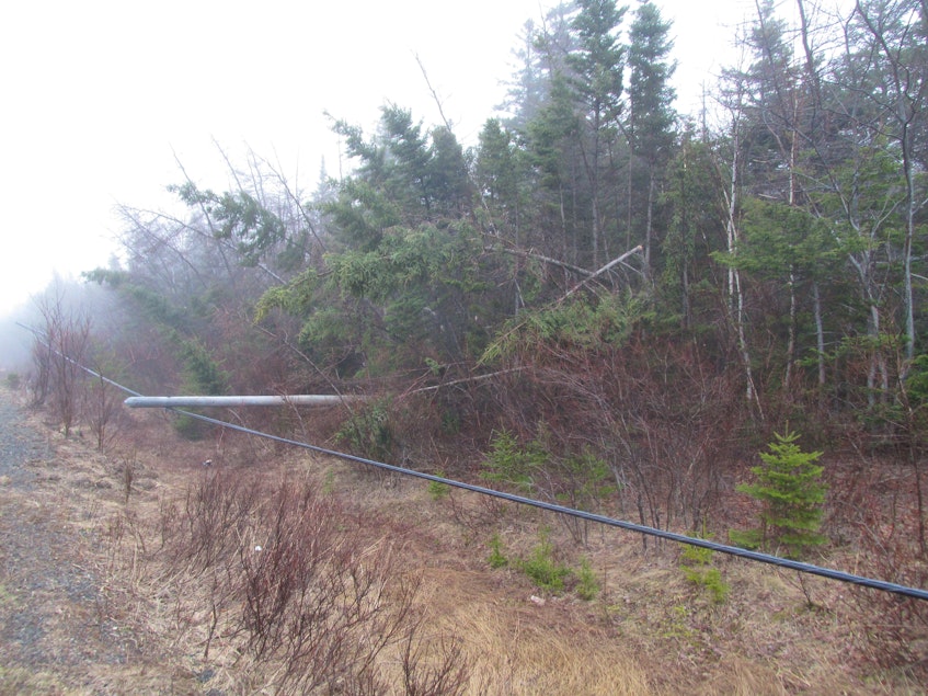 Along Highway 19 just north of Inverness, trees and a power line were knocked down in the aftermath of an Easter long weekend ice and freezing rain storm. IAN NATHANSON/CAPE BRETON POST - Ian Nathanson