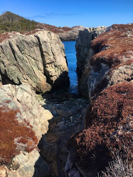 Marjorie Fergusson was hiking from Gooseberry Cove near Little Lorraine, N.S. on the weekend when she took this photo of a small gorge leading into the water. It looks like you had a beautiful day, Marjorie; thank you for sharing.