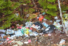 “There’s no reason for doing this,” said Const. Arnold McKinnon, who noticed this pile of illegally dumped rubbish in east-end Sydney. IAN NATHANSON/CAPE BRETON POST