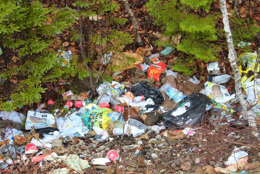 “There’s no reason for doing this,” said Const. Arnold McKinnon, who noticed this pile of illegally dumped rubbish in east-end Sydney. IAN NATHANSON/CAPE BRETON POST