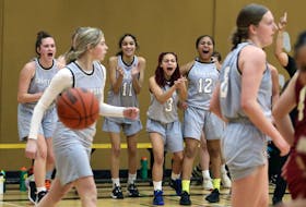 The Dartmouth bench erupts after the Spartans scored a basket against the Citadel Phoenix during third-quarter action of the Capital Region girls' basketball championship Tuesday at Dartmouth High. - Eric Wynne / The Chronicle Herald