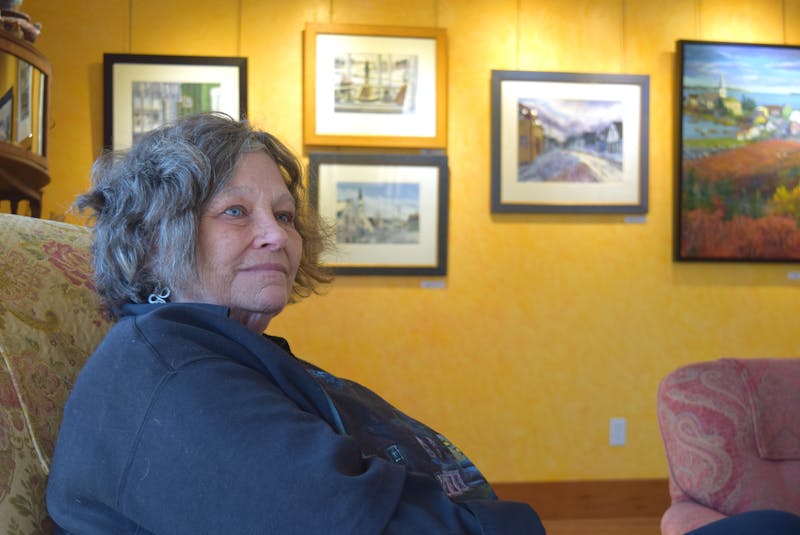 Portapique painter Joy Laking says last year's mass murders that began near her home has left her with a level of depression unlike anything she has ever experienced. - Harry Sullivan