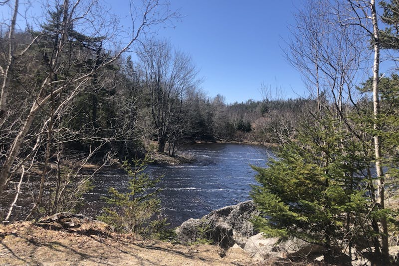 Hiking the trailway is worthwhile just for the view of the Musquodoboit River. - Heather Fegan