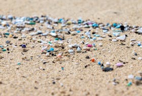 Microplastics washed up on the shore of the ocean. STOCK