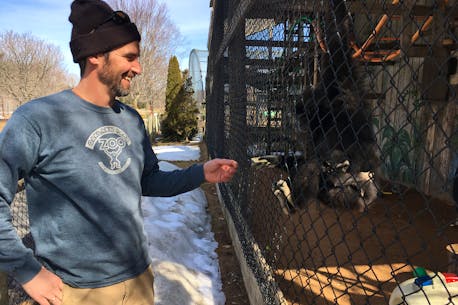 Aylesford area's Oaklawn Farm Zoo ready for visitors for 2021 season